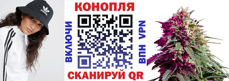 Марихуана OG Kush Обнинск
